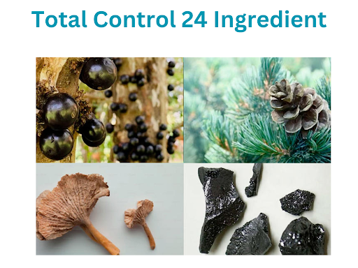 Total Control 24 Ingredients